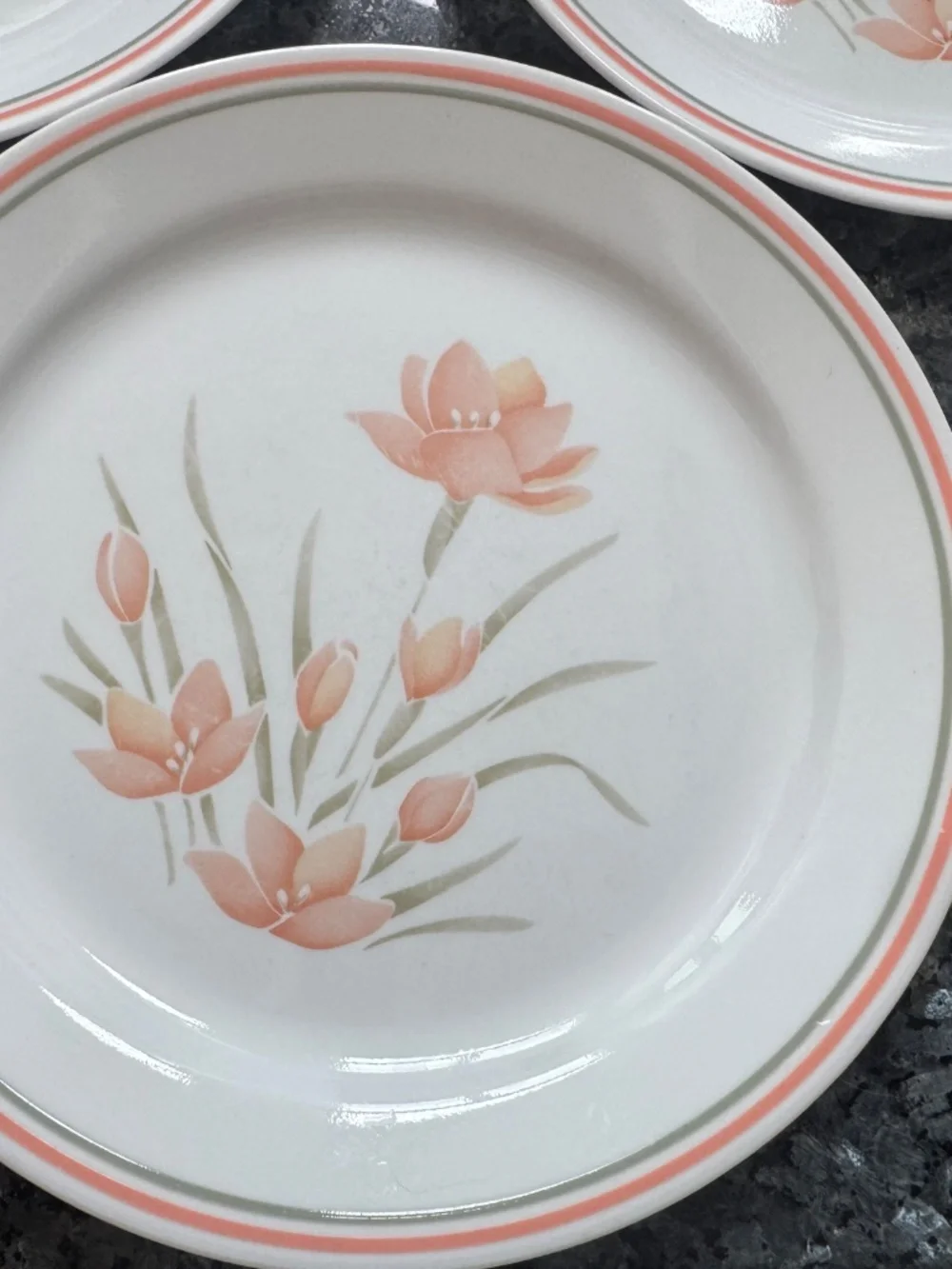 Vintage Corelle by Corning PEACH FLORAL 10 1/4” Dinner Plates Set of 3
